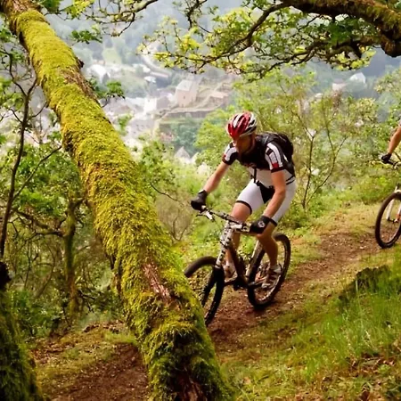 Hotell Hotel-restaurant Beim Schlass