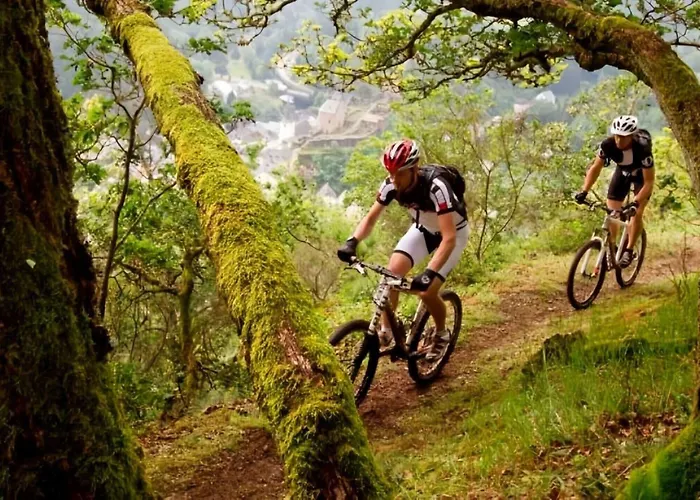 ホテル Hotel-restaurant Beim Schlass